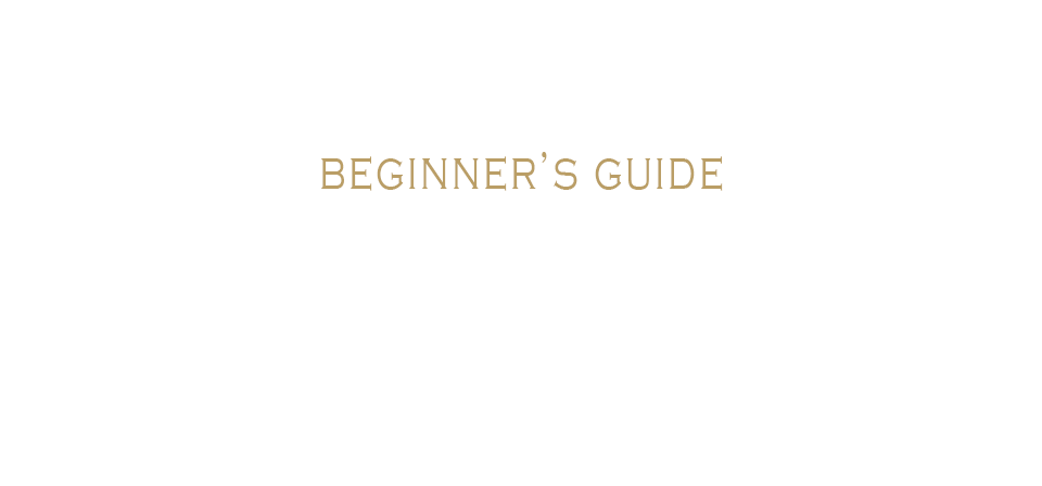 Beginner’s Guide